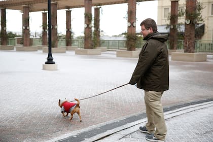 Para el mediodía del 18 de enero, la nieve se había derretido casi por completo