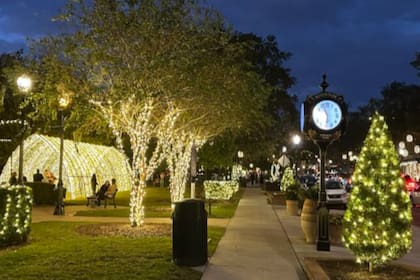 Los paseos nocturnos por Park Avenue ofrecen una experiencia multisensorial