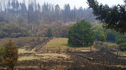 Los pastizales y bosques quemados del productor César Villablanca en Mallín Ahogado