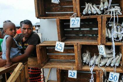 Los patines llegaron desde Queens, Nueva York. Los "estantes" son cajas de frutas recogidas por el artista en La Habana