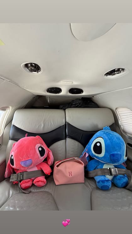 Los peluches viajaron con cinturón de seguridad