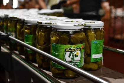 Los pepinillos de la cooperativa, un producto popular