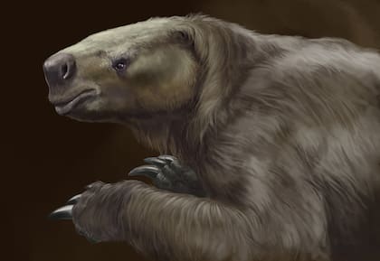 Los perezosos gigantes, ya extintos, fueron uno de los grandes animales de Sudamérica (Foto: Conicet)