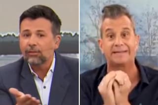 El fuerte cruce entre un periodista y un meteorólogo por un operativo de traslado de carpinchos en Nordelta