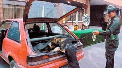 Los perros antiexplosivos fueron introducidos en los tiempos de guerra