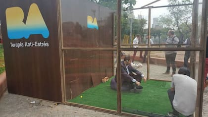 Los perros aparecen de sorpresa para ser acariciados por el usuario