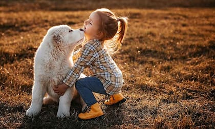 Los perros deberán ser vigilados por un adulto al estar en contacto con niños