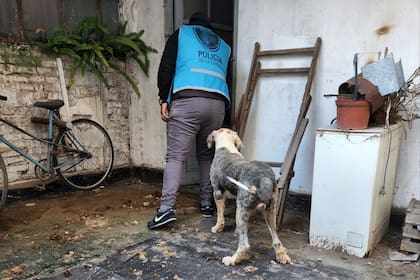 Los perros estaban dentro de un inmueble en el barrio de San Nicolás.
