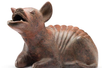 Los perros estaban muy presentes en la cultura maya y este estudio evidencia las razones