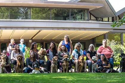 Los perros guías fuera del teatro después de la función.