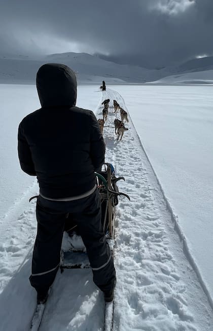 Los perros huskies están preparados para el trabajo y los inviernos cordilleranos.