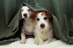 Menos ruido, más respeto