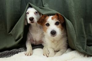 Menos ruido, más respeto