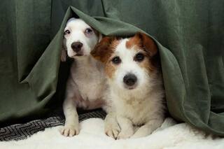 Menos ruido, más respeto