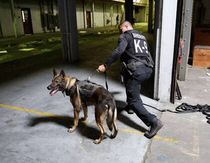 Los perros policía obtienen protecciones adicionales gracias a un proyecto de ley firmado por el gobernador Ron DeSantis
