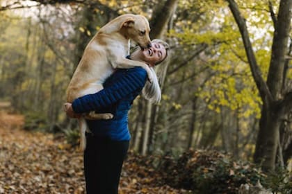 Los perros pueden comprender diversas palabras (Foto Pexels)