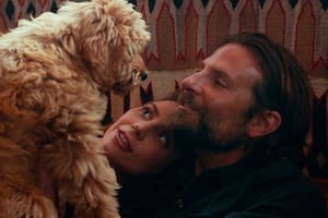 De qué raza son los perros de Bradley Cooper