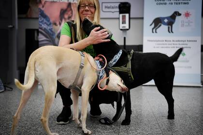 Los perros rastreadores de coronavirus llamados Kössi y Miina permanecen con la entrenadora Susanna Paavilainen en el aeropuerto de Helsinki, Finlandia, el 22 de septiembre de 2020