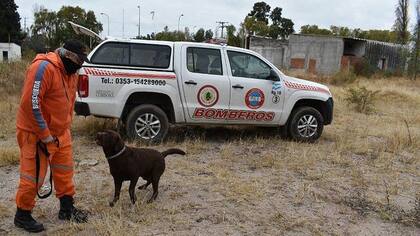 Los perros rastreadores no hallaron rastros de Guadalupe