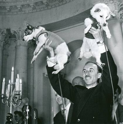 Los perros regresaron sin problemas al planeta luego de orbitarla durante dos días