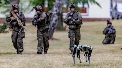 Los perros robot pueden llevar acoplado armamento.