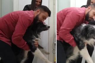 La forma que encontraron dos hermanos para evitar que su perro sufra con la pirotecnia