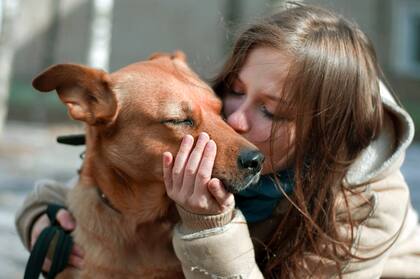 Los perros tienen un olfato sumamente desarrollado, lo que explicaría por qué pudieron diferenciar los olores del estrés en el estudio señalado