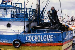 Los pescadores de Cocholgue trabajan en alianza con Bureo en el proceso de recolección de redes de pesca