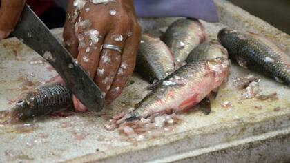 Los pescadores del río Magdalena venden el producto a un menor precio en la orilla del río (Foto: Oswaldo Rocha)