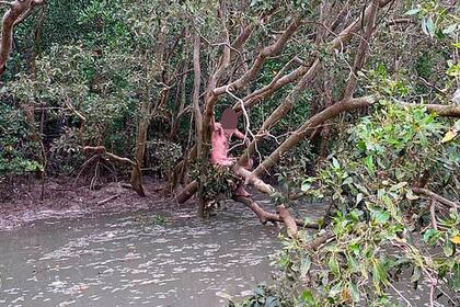 Los pescadores encontraron al fugitivo mientras colocaban trampas para cangrejos