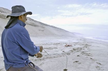 Los pescadores peruanos son los únicos que le sacan provecho a la playa.