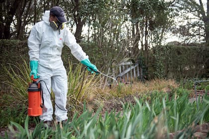 Los pesticidas pueden afectar negativamente a muchos insectos beneficiosos.