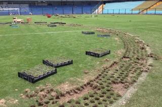Las macetas de Angelici, los ventiladores y un video fallido: la Bombonera se sigue inundando