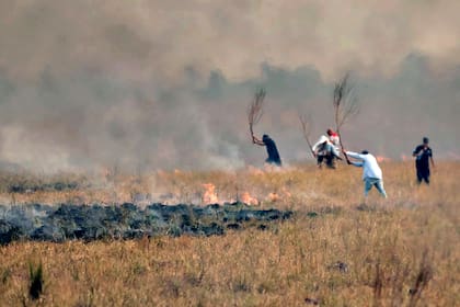 Los pobladores tratan de apagar el fuego con ramas