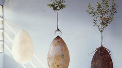 Los pod de Capsula Mundi