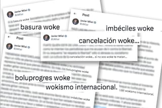 Qué es el "wokismo", por qué Milei lo critica y quiénes fueron los primeros en hablar de este fenómeno