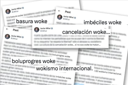Los posteos de Javier Milei sobre el fenómeno woke