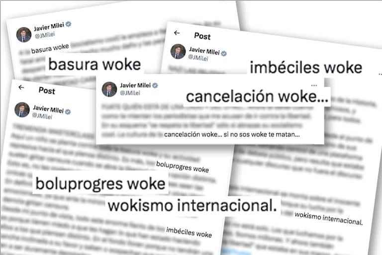 Qué es el "wokismo", por qué Milei lo critica y quiénes fueron los primeros  en hablar de este fenómeno - LA NACION