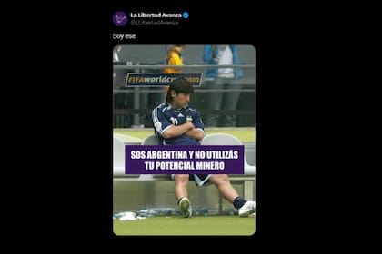 Los posteos de la cuenta oficial de La Libertad Avanza (LLA) en la previa del debate por la reforma de la ley de glaciares en la Cámara de Diputados