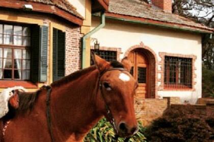 Los precios, generalmente se aplican por persona