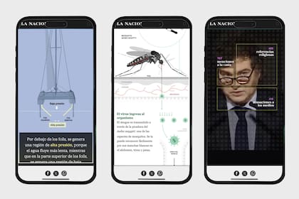 Los premios fueron para proyectos de diferentes temáticas