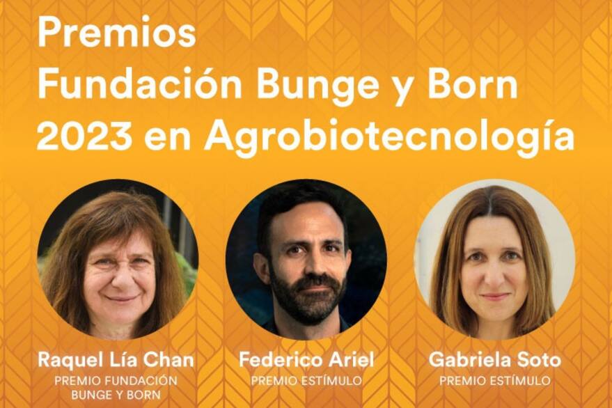La Fundación Bunge y Born 2023 destacó a tres científicos en Agrobiotecnología