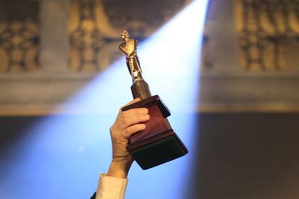 Los premios Martín Fierro a la televisión de aire nacieron en 1959; con el tiempo se fueron sumando nuevas categorías