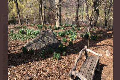 Los primeros signos de la primavera.