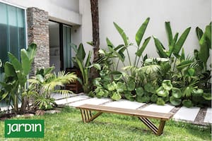 Los principales elementos de este resultado: El banco de maderas en tiras, liviano para dinamizar el uso; Las piedras bola entre las losetas de cemento; Strelitzia Nicolai arecas y boinas de vasco como las plantas que más sobresalen.