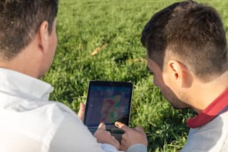 Qué valoran los empleados a la hora de sumarse a una empresa del sector agro