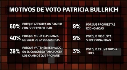 Los principales motivos que sobresalen entre los votantes de Patricia Bullrich