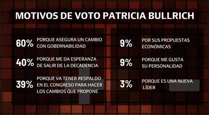 Los principales motivos que sobresalen entre los votantes de Patricia Bullrich