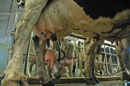 Los productores alertan por la pérdida de rentabilidad