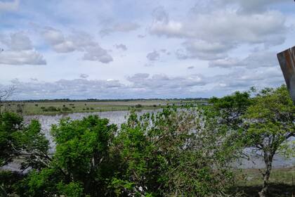 Los productores alertan que viven una situación alarmante